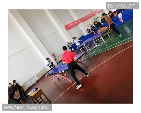 吴丽独家分享乒乓球技巧与心得助你提升球技的秘密之道