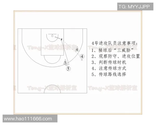 杭州篮球队的转换之道：深度解析战术与球员的完美结合