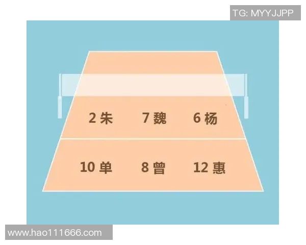 北京排球队中路突破分析：战术执行与对手防守的较量与反思