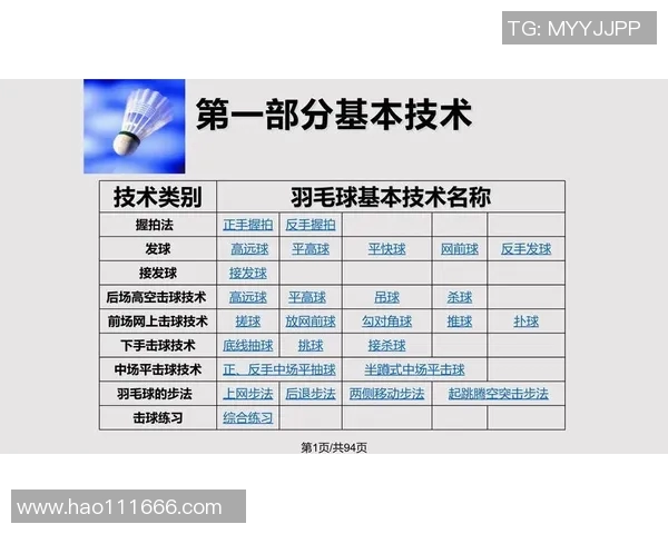 北京羽毛球队进攻策略解析与战术创新探讨
