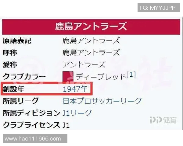 武汉足球队配合风格深度对比与战术解析