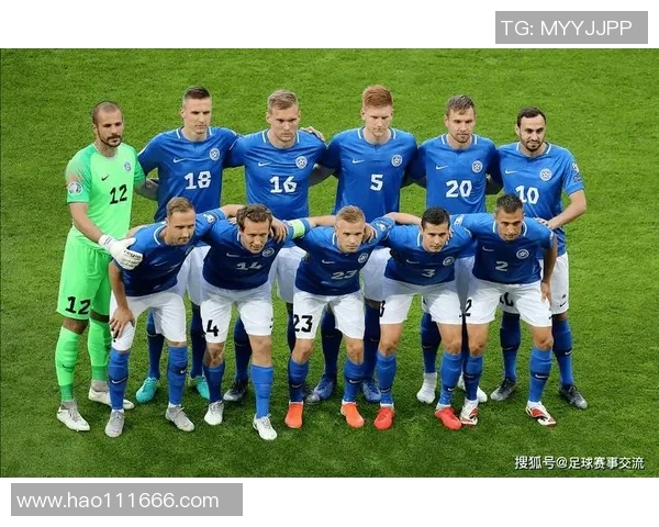 波兰与爱尔兰足球实力对比分析谁更具竞争优势