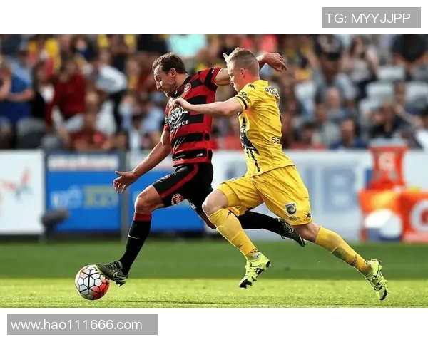 珀斯光荣与悉尼激战正酣赛果揭晓精彩瞬间回顾与分析