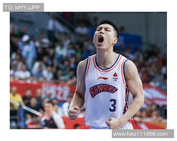 陈林坚：从篮球新星到职业生涯巅峰的成长之路与奋斗故事