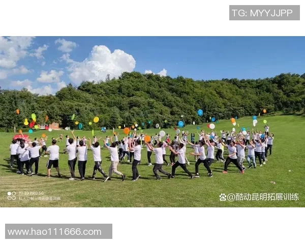 飞盘盛宴:深入武汉飞盘队的战术与技巧探讨MBA