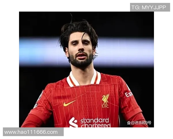 探秘索博斯洛伊的历史与文化遗产，感受其独特魅力与现代发展之路