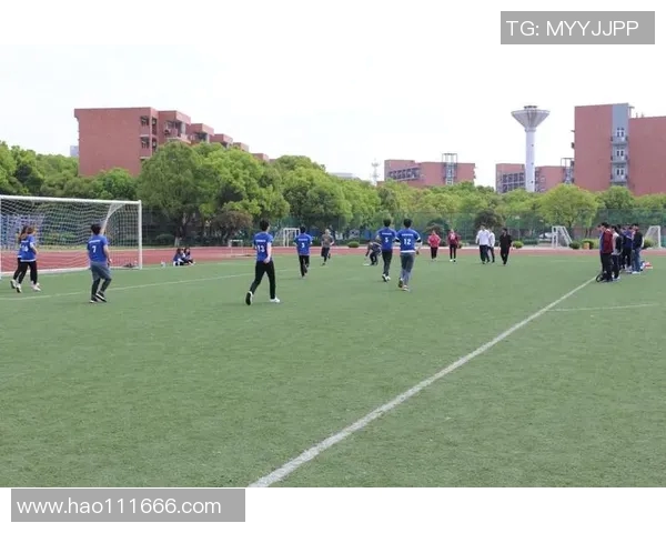 北京飞盘队个人能力分析与提升策略探讨